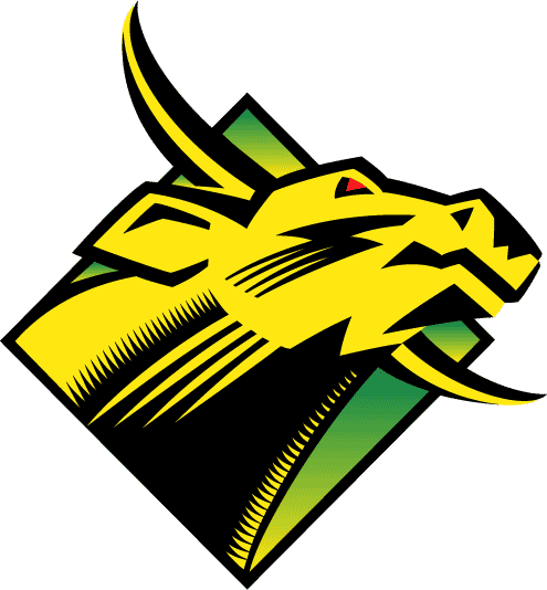 South Florida Bulls 1997-2002 Primary Logo DIY iron on transfer (heat transfer)